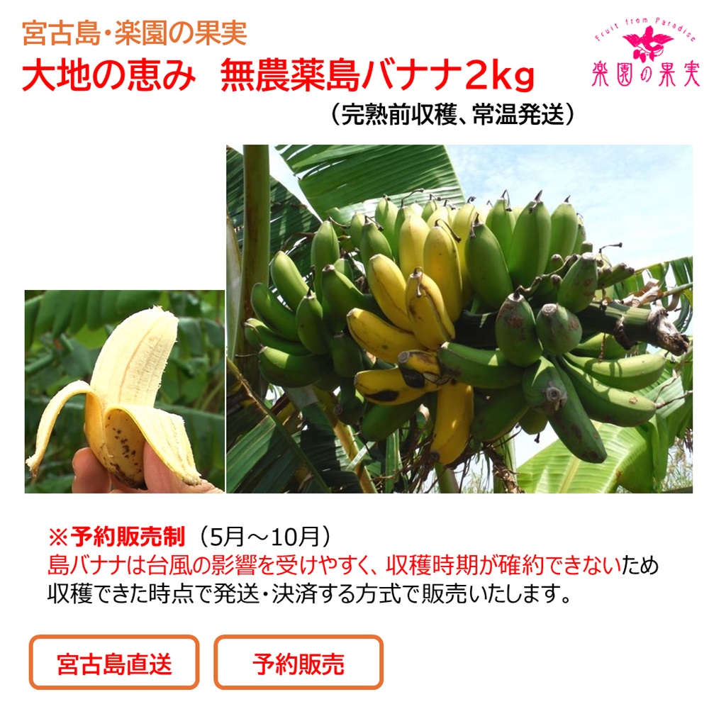 バナナ様 専用