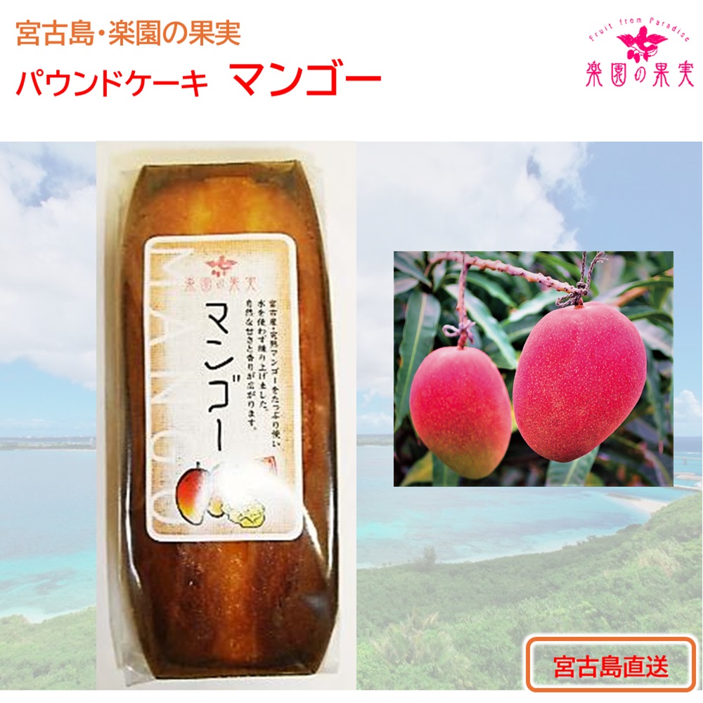 楽園の果実 パウンドケーキ「マンゴー」 沖縄宮古島の果物を練りこみ焼き上げたオリジナルケーキの画像