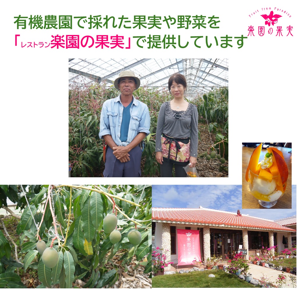 楽園の果実 フルーツジャム「マンゴー」 沖縄宮古島の果物をふんだんに使った濃厚贅沢ジャムの画像