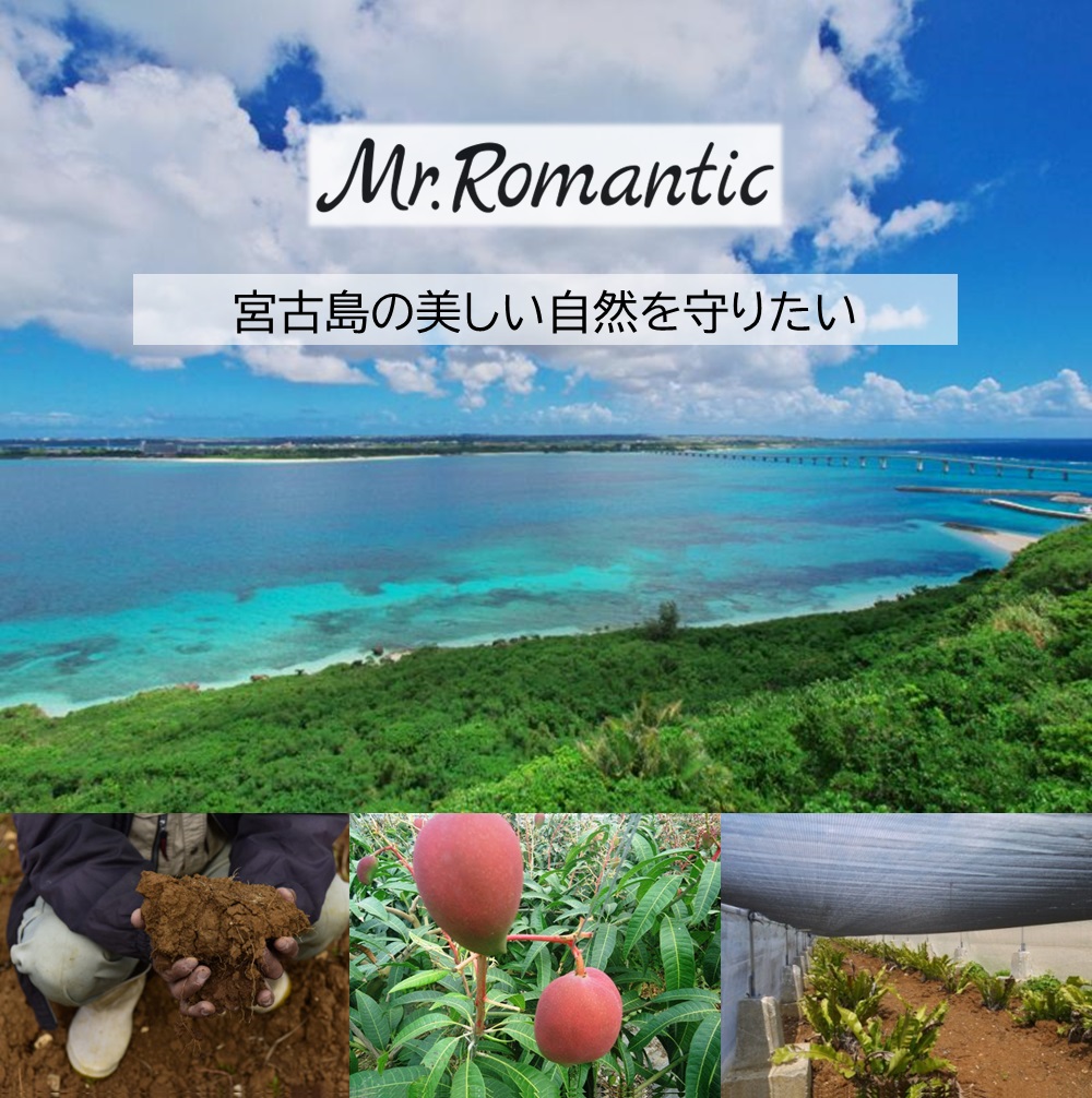 Mr.Romantic モイスチャーフェイスマスク(４枚入り) 宮古島テリハボク種子油でしっかり保湿の画像