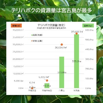 Mr.Romantic プロテクティブフェイシャルクリーム （日やけ止め化粧下地） 人とサンゴに優しい日やけ止めの画像