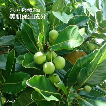 Mr.Romantic 宮古島の植物成分配合ナチュラルソープ 合成化学物質無添加石鹸の画像