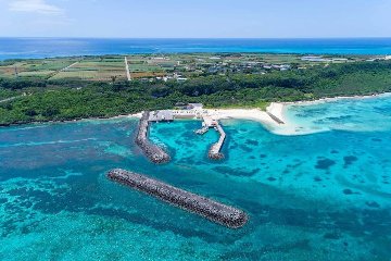 来間島もずく 「オレノモズク」 小200ｇ・クール便配送 太く長く色合いきれいな海の恵みの画像