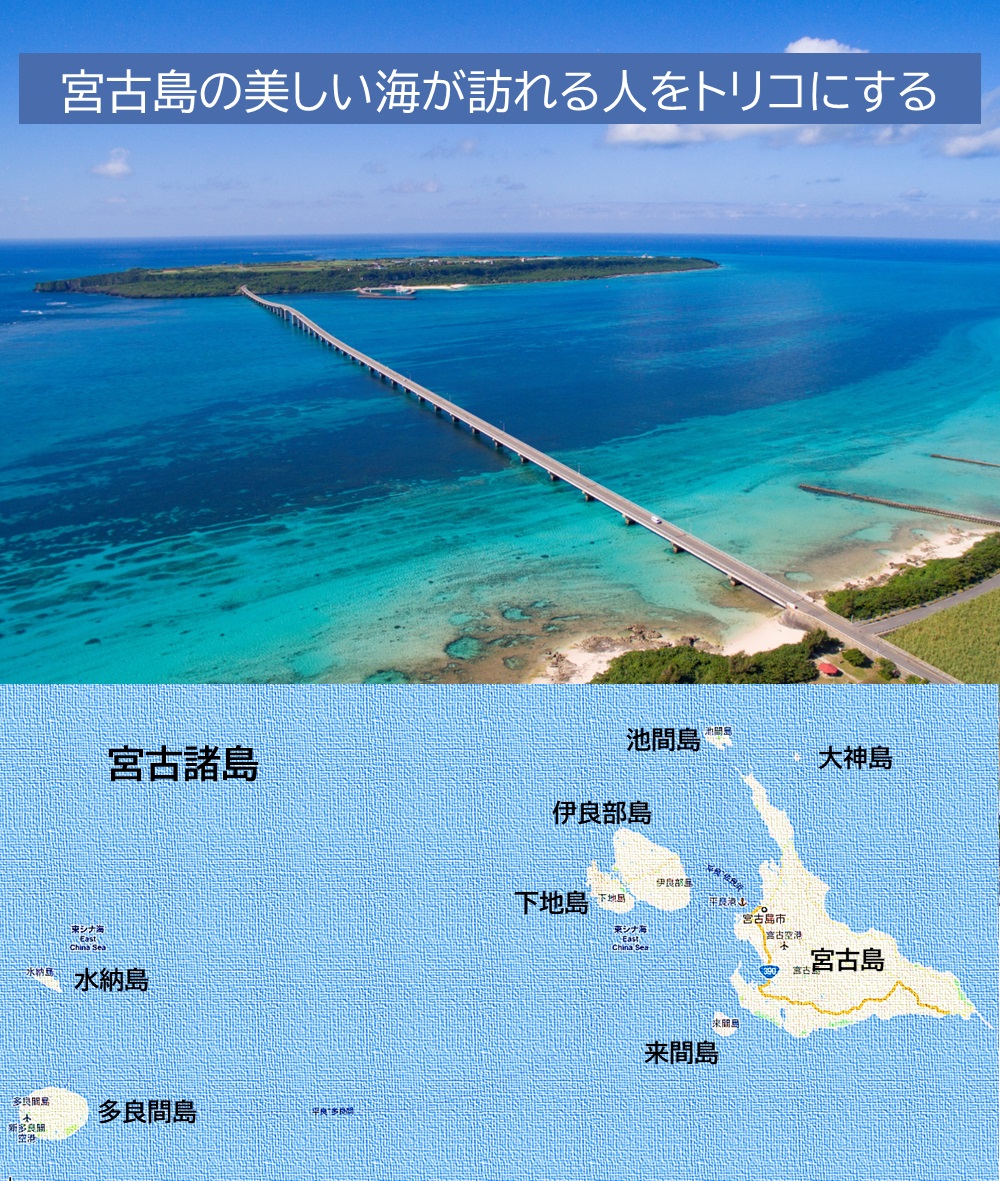 「美ら島 宮古」 2025年カレンダー（壁掛けA2） 年中宮古島を感じたい方へ 写真家・上西重行の画像