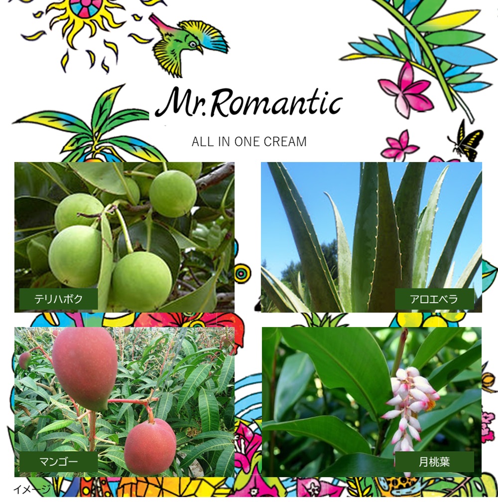 Mr.Romantic オールインワンクリーム　沖縄宮古島の植物成分配合 すこやかな肌への画像