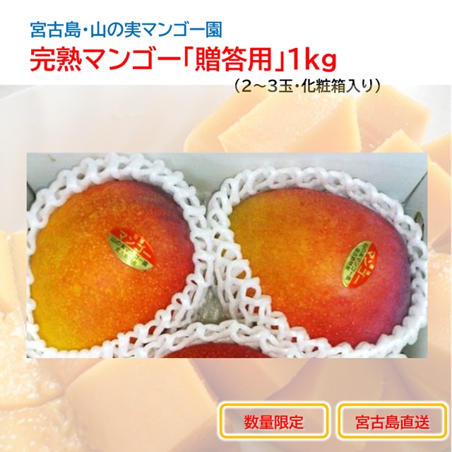山の実マンゴー園 完熟マンゴー「贈答用」１kg （2～3玉、送料込）限定宮古島こだわりのマンゴーの画像