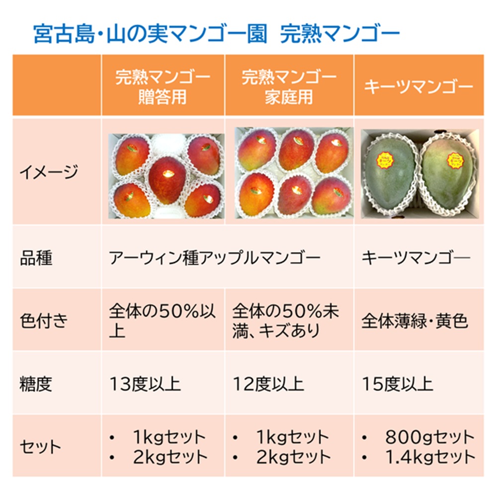 山の実マンゴー園 完熟マンゴー「贈答用」１kg （2～3玉、送料込）限定宮古島こだわりのマンゴーの画像
