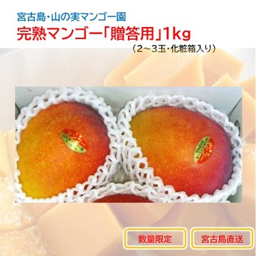 山の実マンゴー園 完熟マンゴー「贈答用」１kg （2～3玉、送料込）限定宮古島こだわりのマンゴーの画像