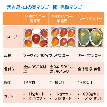 山の実マンゴー園 完熟マンゴー「贈答用」１kg （2～3玉、送料込）限定宮古島こだわりのマンゴーの画像