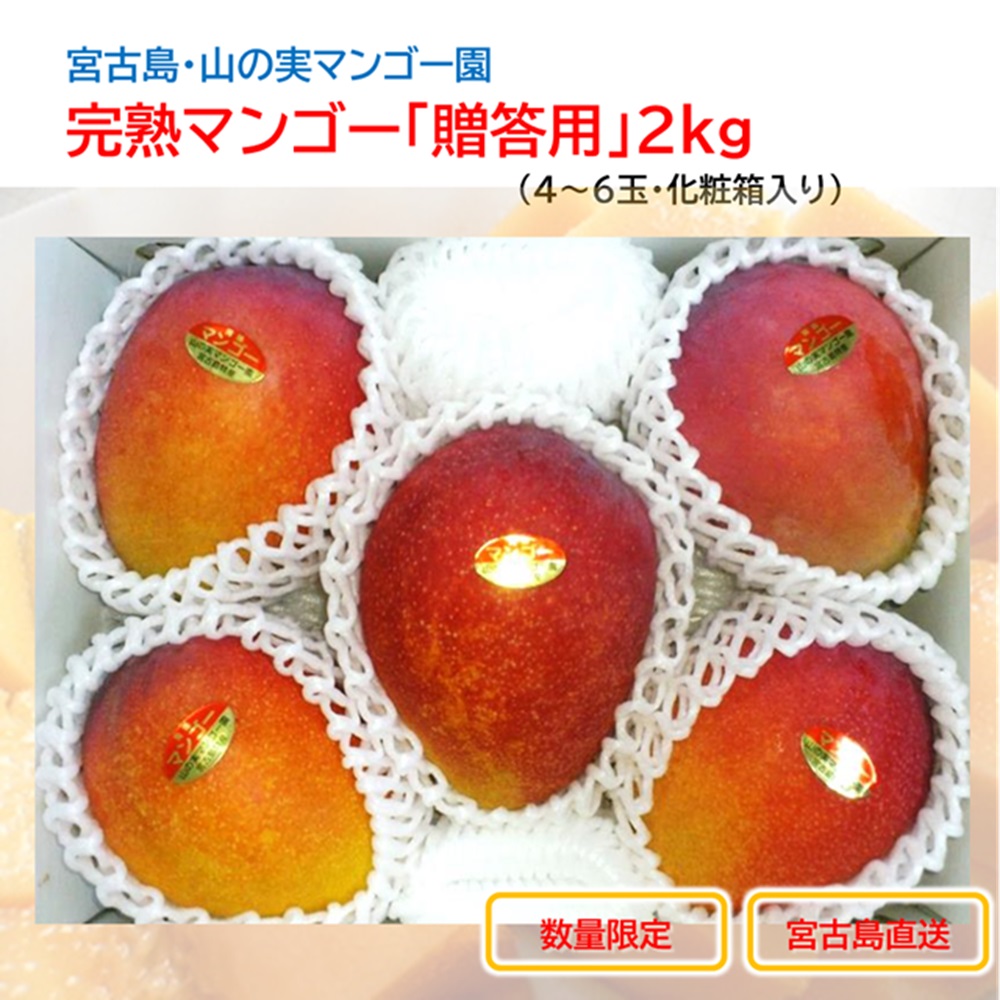 山の実マンゴー園 完熟マンゴー「贈答用」2kg （4～6玉、送料込）限定宮古島こだわりのマンゴーの画像