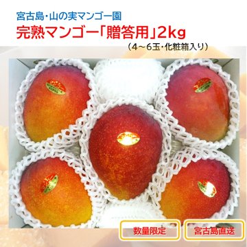 山の実マンゴー園 完熟マンゴー「贈答用」2kg （4～6玉、送料込）限定宮古島こだわりのマンゴーの画像