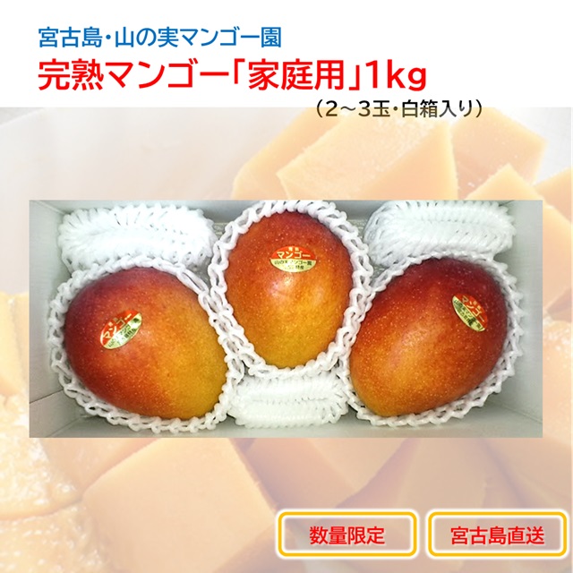 山の実マンゴー園 完熟マンゴー「家庭用」1kg （色むら傷・訳あり品、送料込）宮古島こだわりのマンゴーの画像