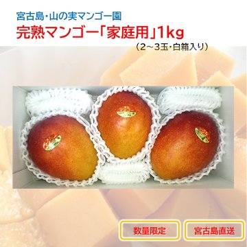 山の実マンゴー園 完熟マンゴー「家庭用」1kg （色むら傷・訳あり品、送料込）宮古島こだわりのマンゴーの画像