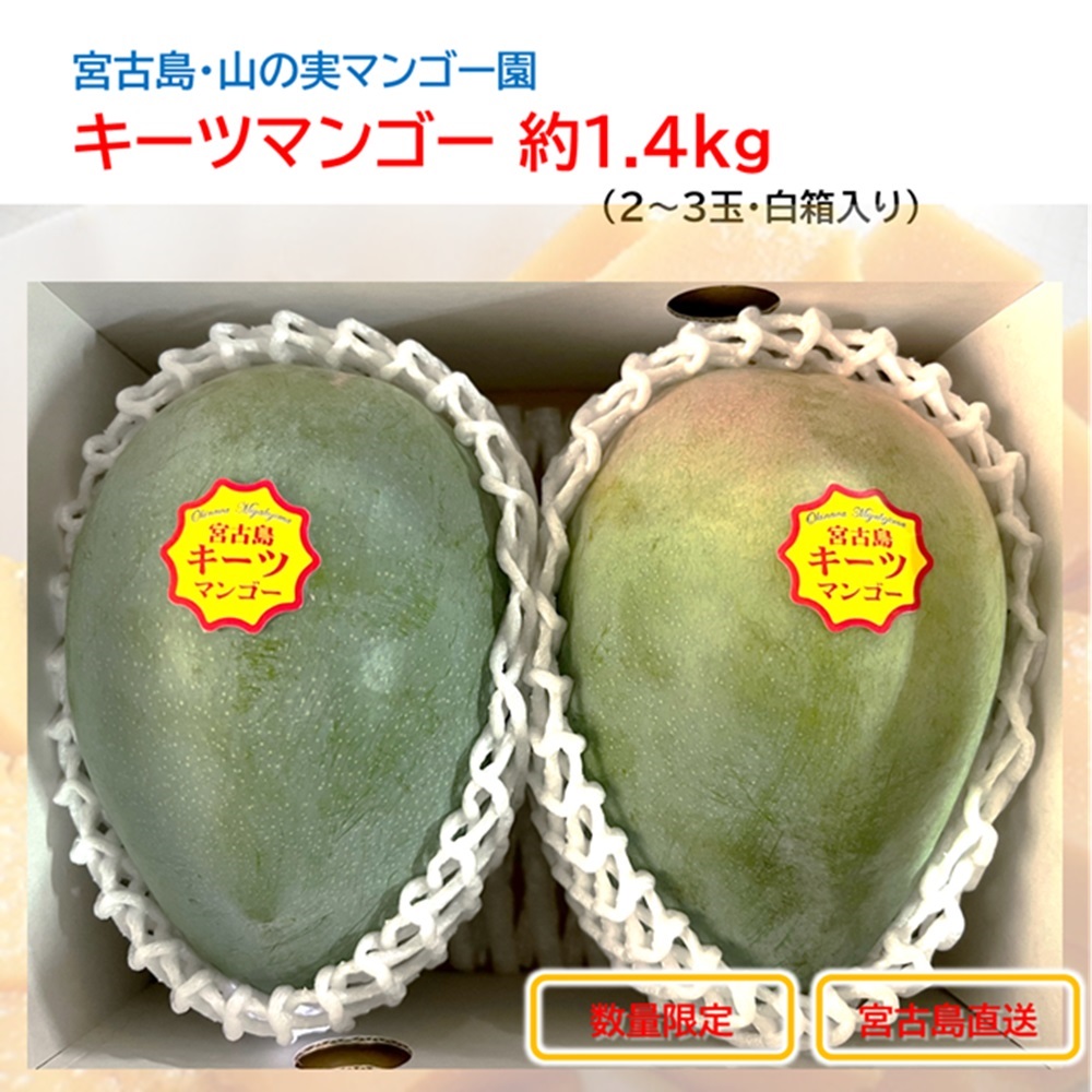 山の実マンゴー園 キーツマンゴー1.4kg （２玉、送料込）宮古島こだわりのマンゴーの画像