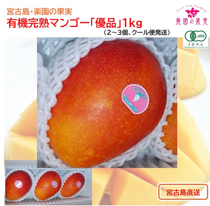 宮古島 有機完熟マンゴー「優品」1kg （2～3個、送料込）楽園の果実の有機栽培高級マンゴーの画像