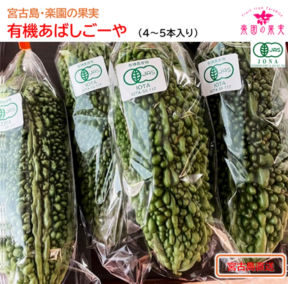宮古島 有機あばしごーや（4～5本）　苦みが薄い、炒めものやサラダで味わうの画像