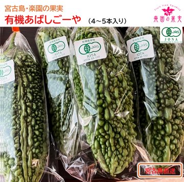 宮古島 有機あばしごーや（4～5本）　苦みが薄い、炒めものやサラダで味わうの画像