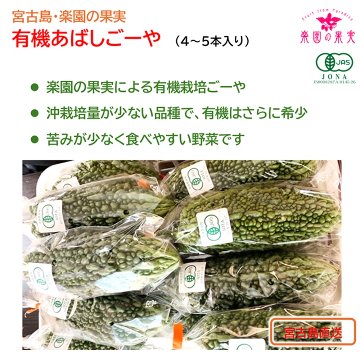 宮古島 有機あばしごーや（4～5本）　苦みが薄い、炒めものやサラダで味わうの画像