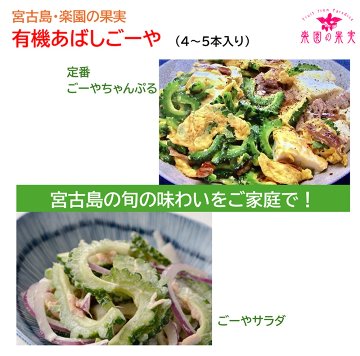 宮古島 有機あばしごーや（4～5本）　苦みが薄い、炒めものやサラダで味わうの画像