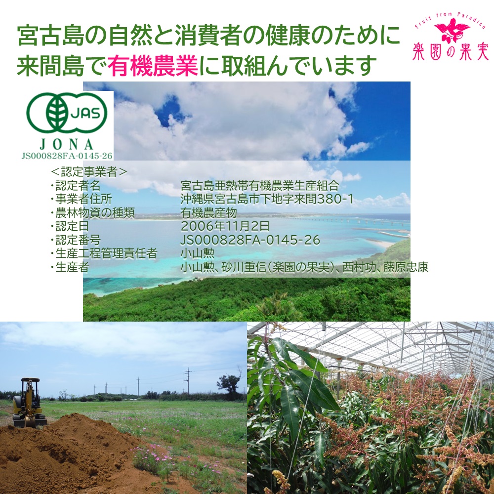 宮古島 有機キーツマンゴー600g （1玉、送料込）楽園の果実の有機栽培高級マンゴーの画像