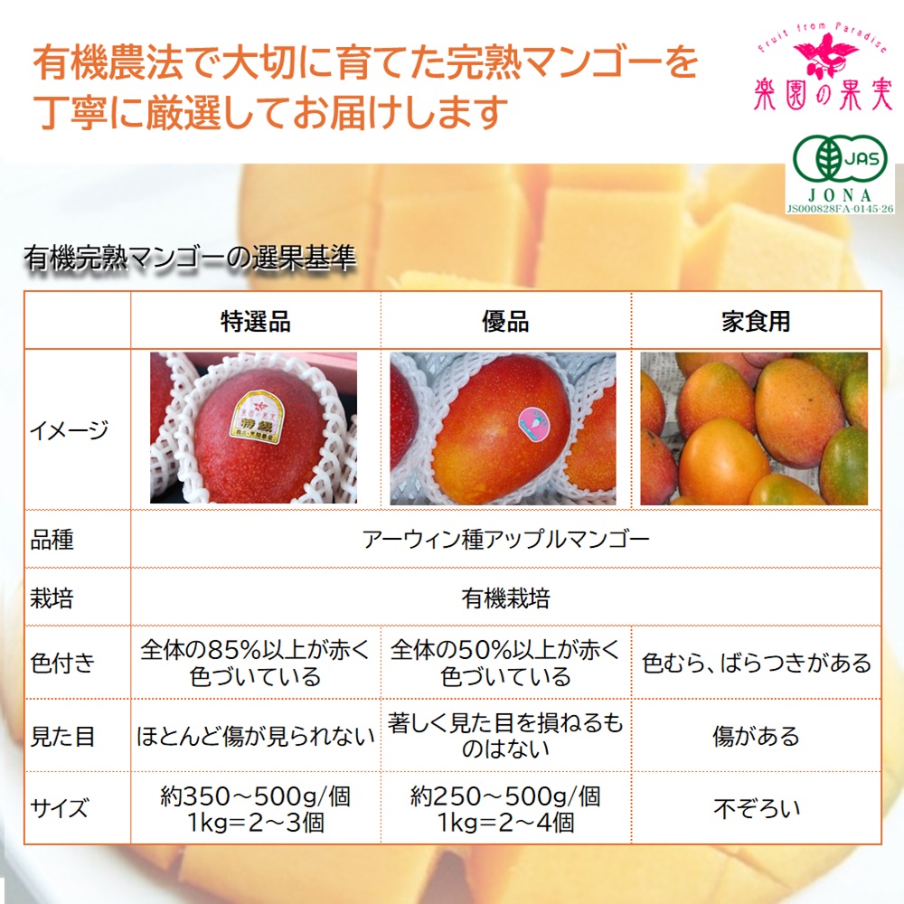 宮古島 有機キーツマンゴー600g （1玉、送料込）楽園の果実の有機栽培高級マンゴーの画像