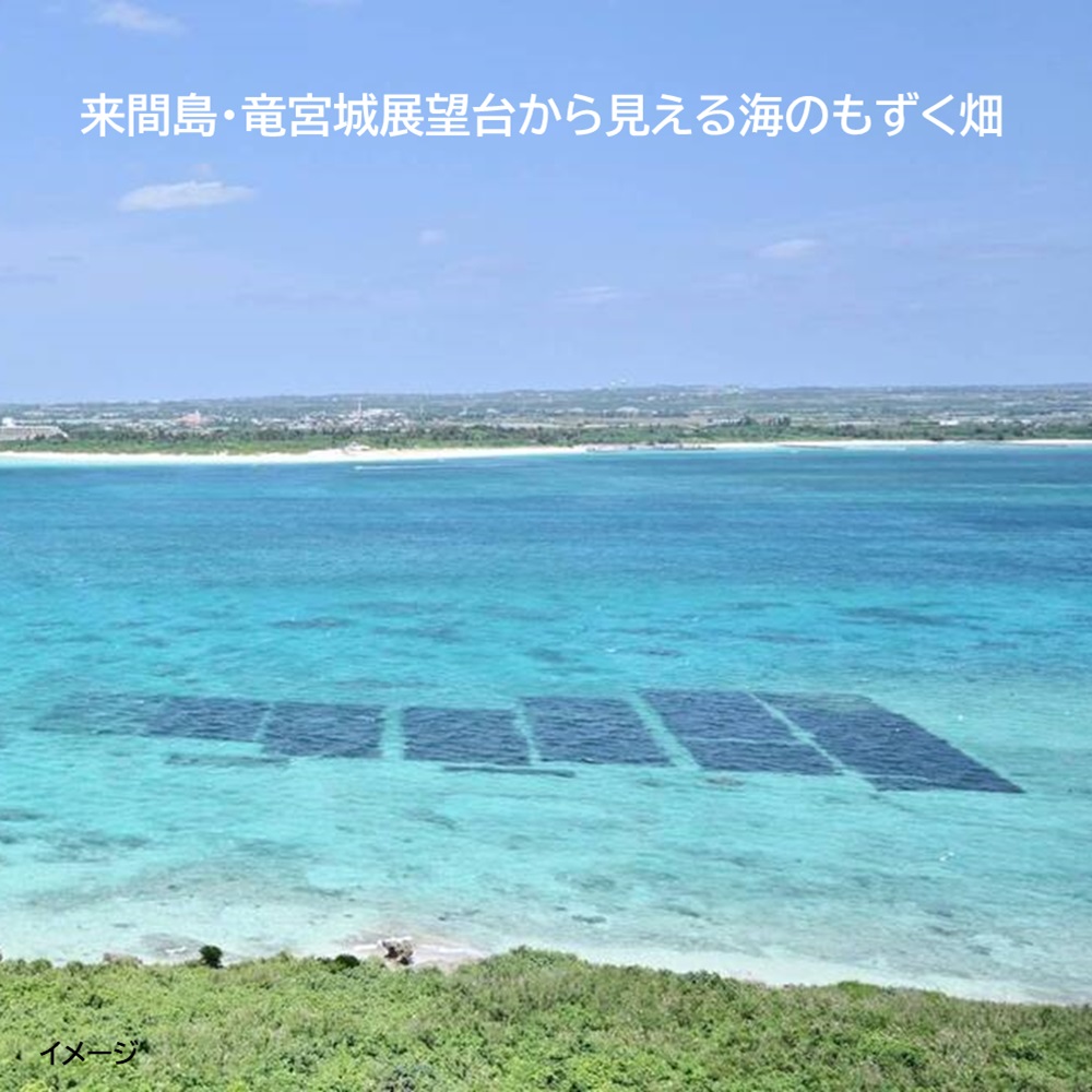 来間島もずく 「オレノモズク」 小200ｇ×５個セット・常温配送 太く長く色合いきれいな海の恵みの画像