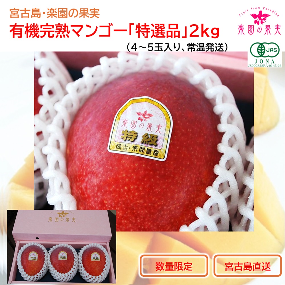 2.4　宮古島産 島マンゴー 2.4㎏　⚠️今シーズンラスト 2.4 宮古島産 島マンゴー 2.4㎏