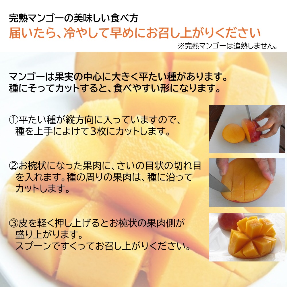 宮古島 有機完熟マンゴー「特選品」１kg （2～3玉、送料込）楽園の果実が有機栽培した高級マンゴー 数量限定画像