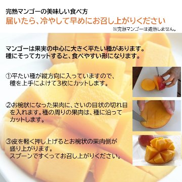 宮古島 有機完熟マンゴー「優品」１玉 （3L 450g以上、送料込）楽園の果実の有機栽培高級マンゴーの画像