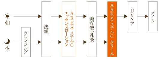 ［店頭販売のみ］JC ARES ステムC クリームの画像