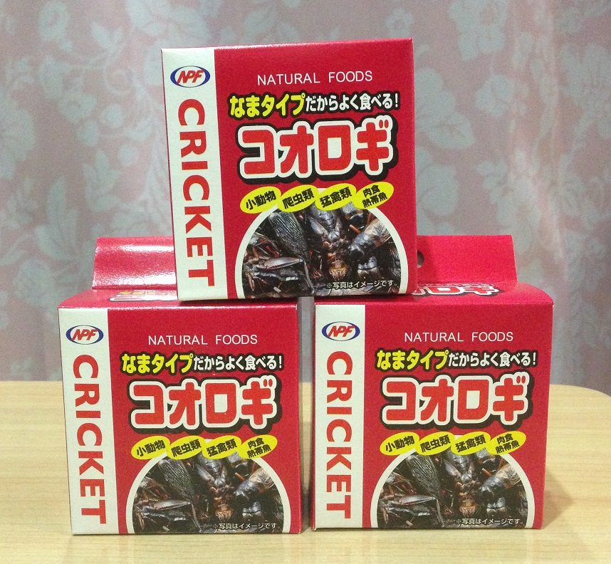 コオロギ40g（コオロギ缶) | モモンガ スタイル