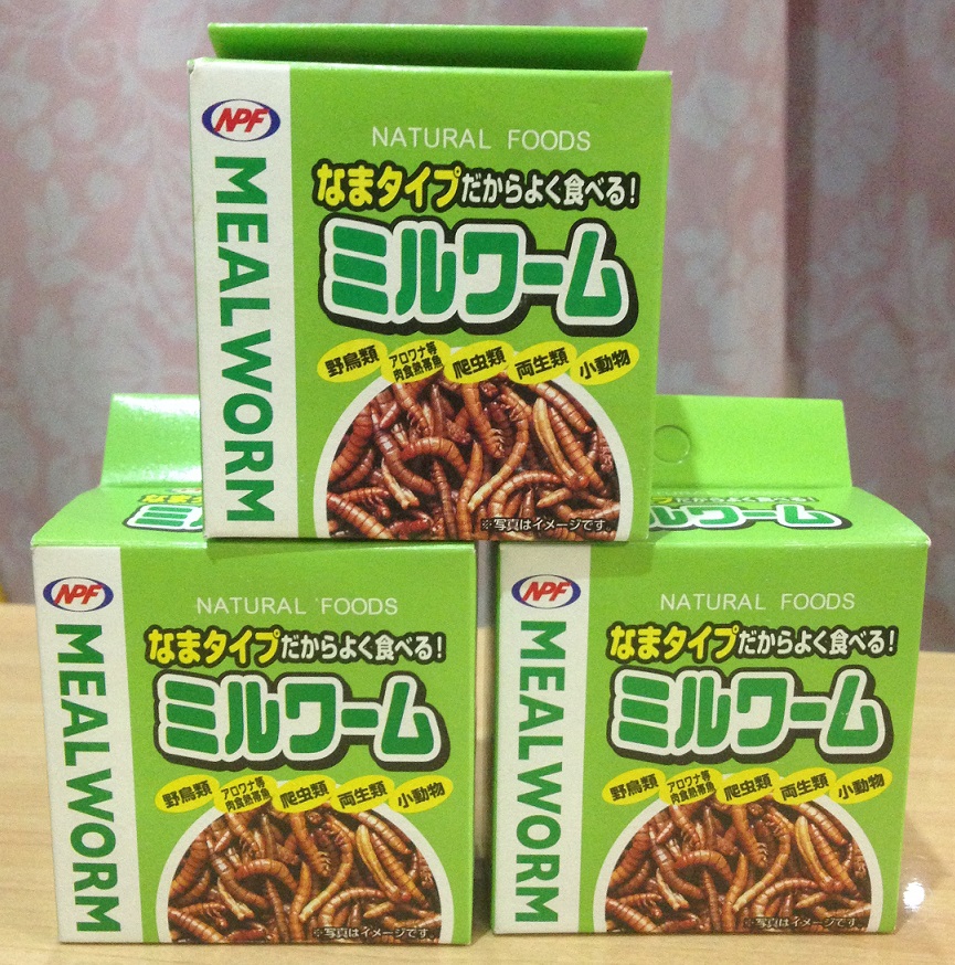 ミルワーム　生タイプ　35g×24箱入 ミルワーム 生タイプ 24箱