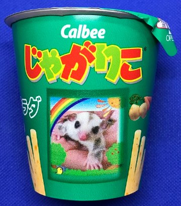 じゃがりこ サラダ ◇人間用です | モモンガ スタイル