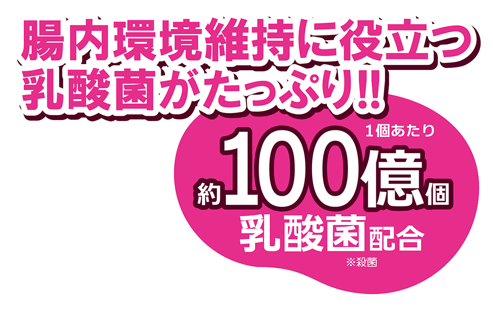  腸活サポート 乳酸菌ゼリー 16g×10個　/　三晃商会の画像