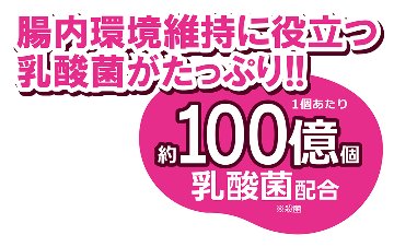 腸活サポート 乳酸菌ゼリー 16g×10個　/　三晃商会の画像