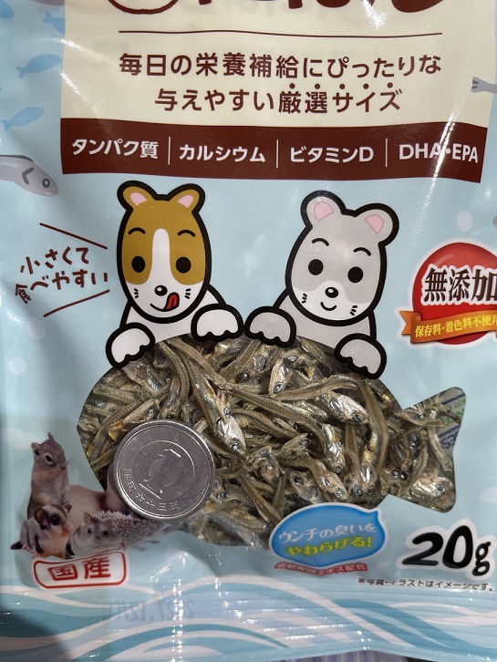 小動物の極小にぼし　20gの画像