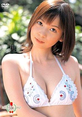 [DVD]中川翔子 / ミスマガジン2002（80％オフ(87)）の画像