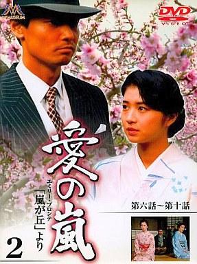 [DVD]愛の嵐 2（80％オフ(112)）の画像