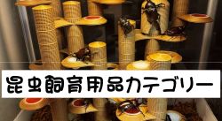 昆虫飼育用品カテゴリー