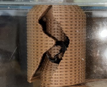 ムイルミ　ミニ森ちょこ「シャドウ No.3 」(顔)  ナチュラル色の画像
