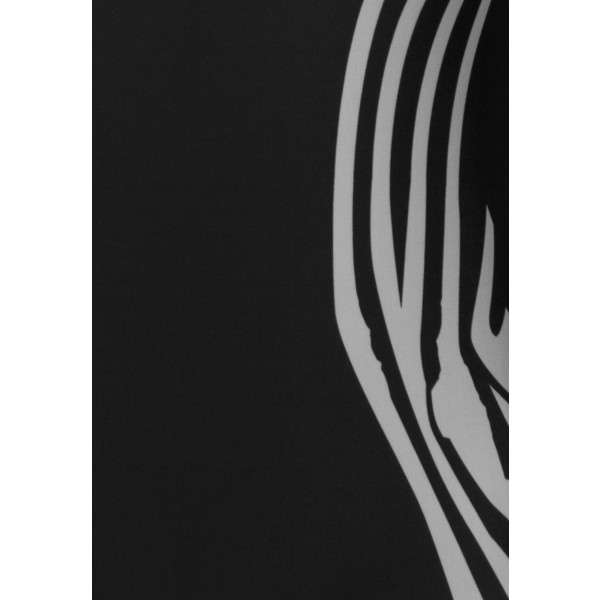 Kylo Ren Swimsuitの画像
