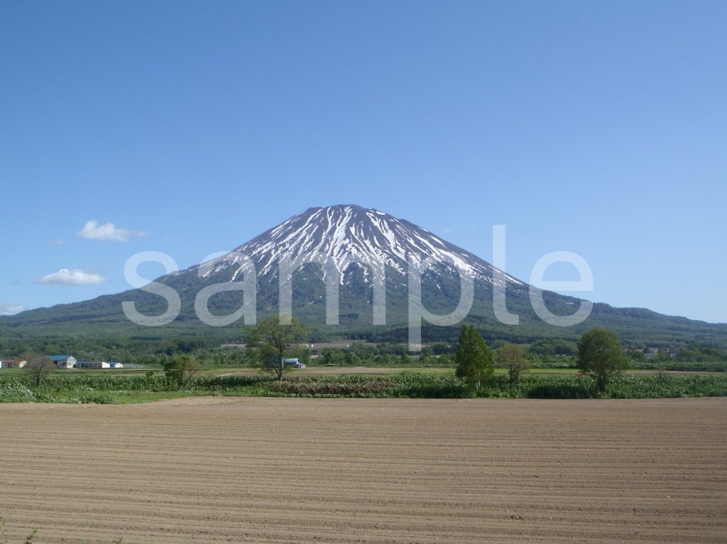 後志　羊蹄山の画像