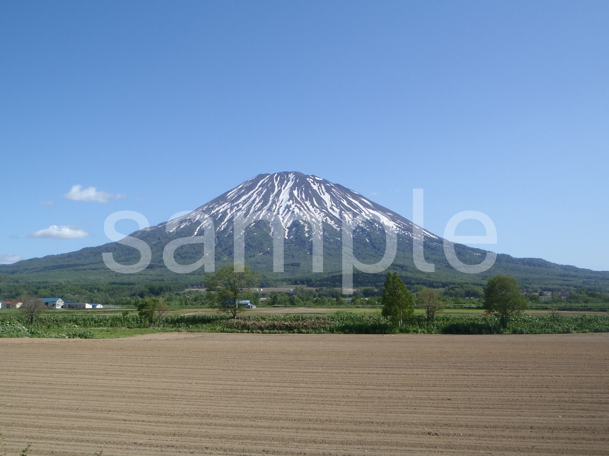 後志　羊蹄山の画像