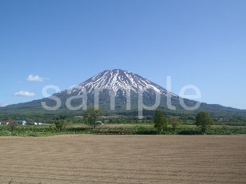 後志　羊蹄山の画像