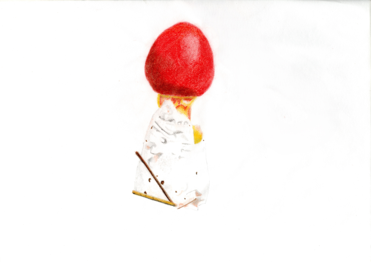 色鉛筆画　タマゴタケの画像