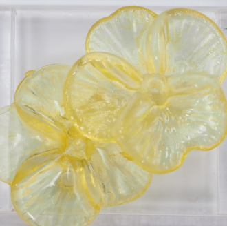 スミレ  花黄 BOr-3 2個入り　2 Setの画像