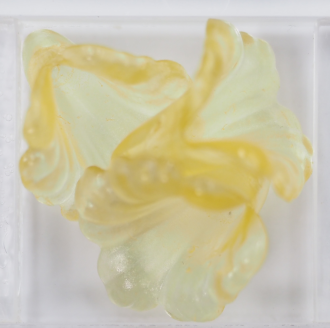 カラー 中 花黄 BYe-3 2枚入りの画像