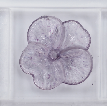 スミレ   藍むらさき AB5-3 2個入りの画像