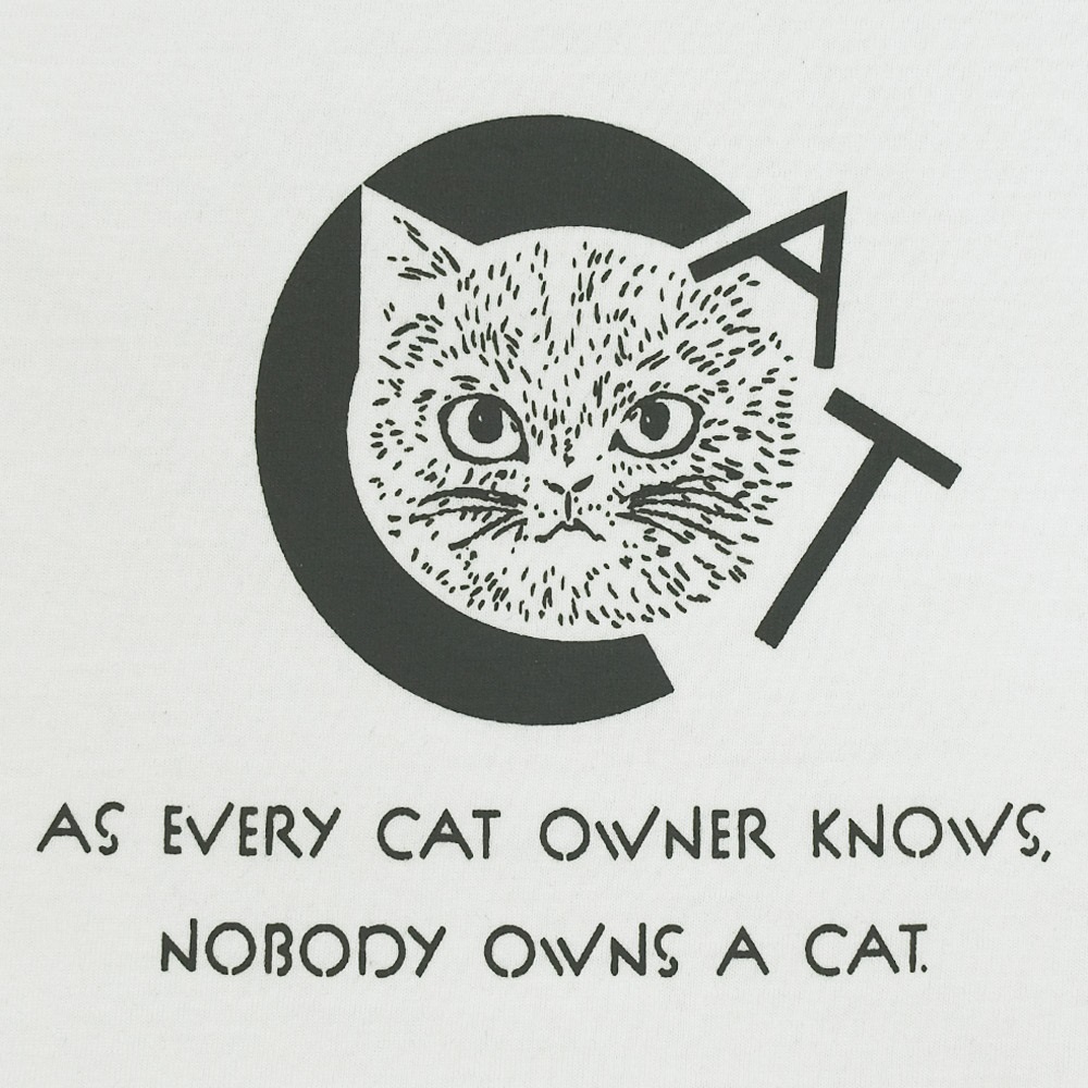 CATの画像
