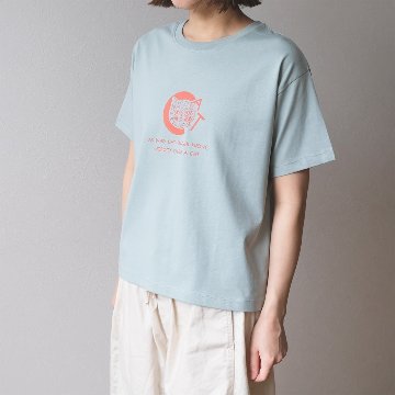 CATの画像